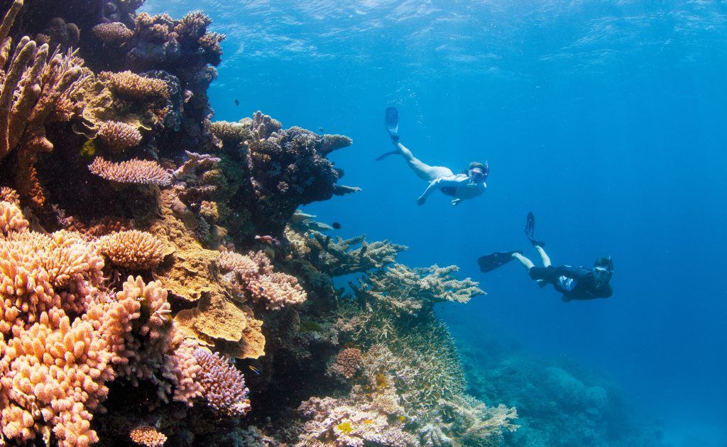 Australia's Great Barrier Reef is one of the major drivers of international visitors. 